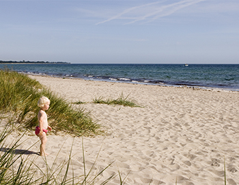 Kleines Mädchen steht bei den Dünen und blickt über das Meer hinaus